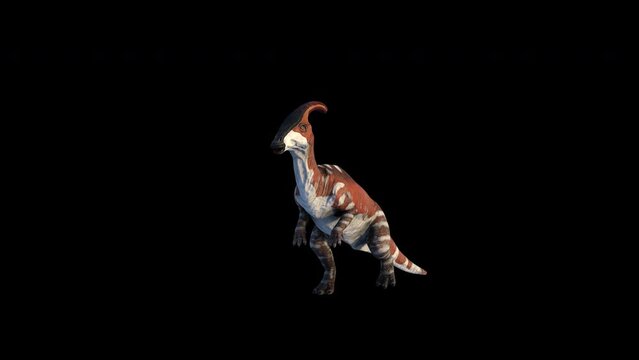 Dinosaur Parasaurolophus Walk 3D Animation With Alpha Video