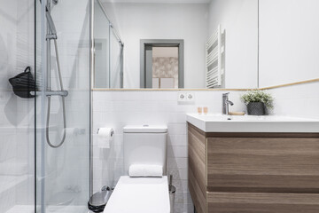 Newly renovated bathroom with small wooden cabinet with drawers and white porcelain sink, shower cabin with glass screen, mirror integrated into the wall and decorative plant