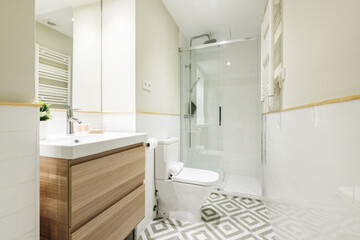 Fototapeta na wymiar Newly renovated bathroom with small wooden cabinet with drawers and white porcelain sink, shower cabin with glass screen, mirror integrated into the wall and decorative plant