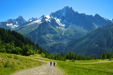 Fototapeta na wymiar Turists on mountain trail in the Nature Reserve Aiguilles Rouges, Graian Alps, France, Europe.