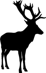 New silhouette of a deer