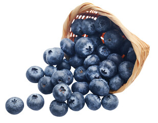 Organic blueberries