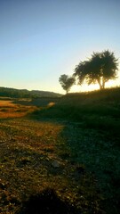 sunset over the river