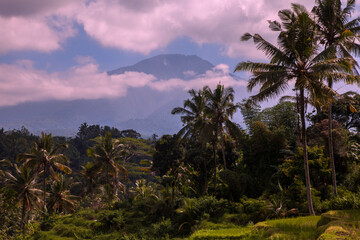 Fototapeta na wymiar Bali landscape