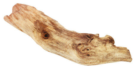 Bogwood