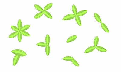 Flat lay vector illustration design. Young leaves stacked or joined together. Unique leaves.