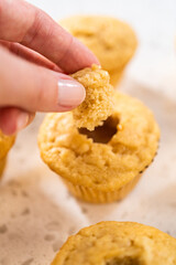 Dulce de Leche Cupcakes