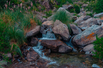 Paisajes
 Viajes
 Argentina
 Naturaleza
cielo
amanecer
atardecer 