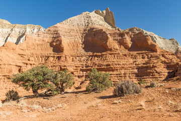 Eroded sandstone formation and vegetation in the desert of Kodachrome Basin State Park Utah. 