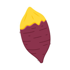 Sweet potato. Organic healthy vegetable. Fresh natural root. Made in vector cartoon flat style. Roasted sweet potato. Japanese Sweet potato.