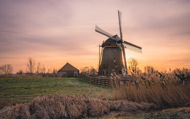 Wiatrak o wschodzie słońca, krajobraz z wiatrakiem, idylliczny obrazek przedstawiający holenderską wieś, światło słoneczne, pięknie zabarwione niebo, mały domek gospodarczy, trzciny.  - obrazy, fototapety, plakaty