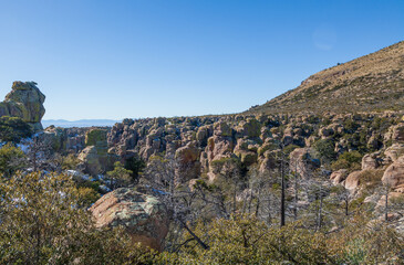 Scenic Winter Landscape in the Chiricahua National Monument Arizona