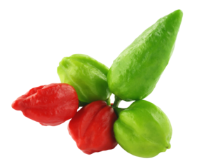 Different types of chilies