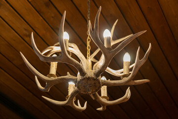 Fashionable ceiling chandelier made of deer antlers. Chandelier horns. Unusual chandelier made of...