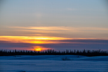 Fototapeta premium Cloudy sunset over the boreal forest in northern Canada