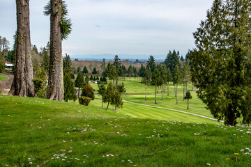 Fototapeta na wymiar Green Hills & Forest in Oregon Near Portland