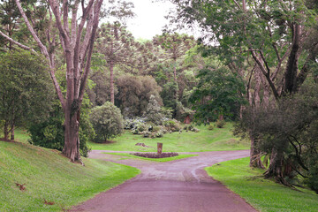 Batanical Garden in Faxinal do Céu, Pinhão, Paraná, Brazil: 2023