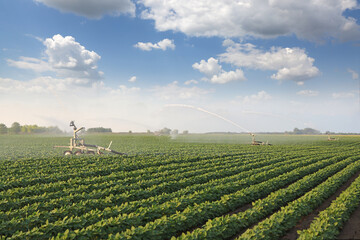Irrigation system on agricultural soybean field helps to grow plants in the dry season. Landscape...