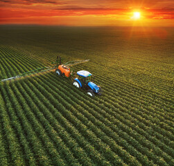 Aerial view of crop sprayer spraying pesticide on a soybean field at sunset, Drone shot flying over agricultural soybean field, tractor and crop sprayer protection plants against diseases and insects - obrazy, fototapety, plakaty