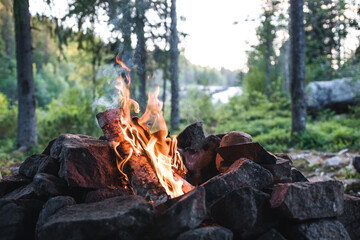 Camp fire in the forest