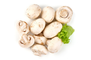 Champignons, close-up, isolated on white background.
