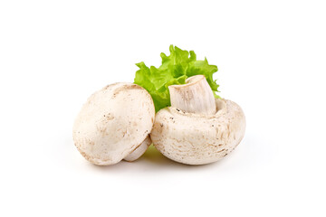 Champignons, close-up, isolated on white background.