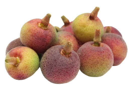 Grewia asiatica or Falsa