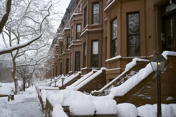 Snow Covered Brownstones