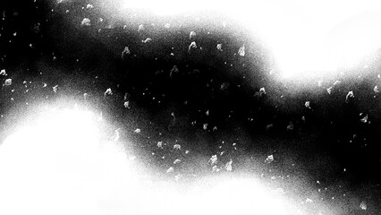 神秘　背景　天の川　モノクロ　グレースケール　星