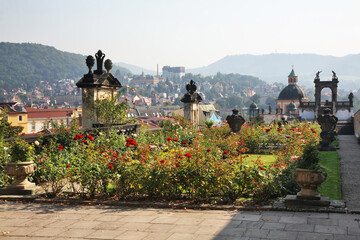 Rose garden of Decin. Czech Republic
