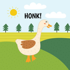 Goose saying honk print. Cute farm character on a green pasture making a sound. Funny card with animal in cartoon style for kids. Vector illustration