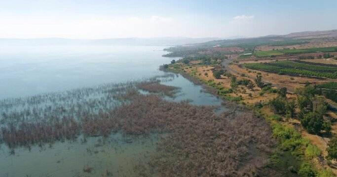Aerial view of a lake with in water vegetation, Sea of Galilee, Israel.
