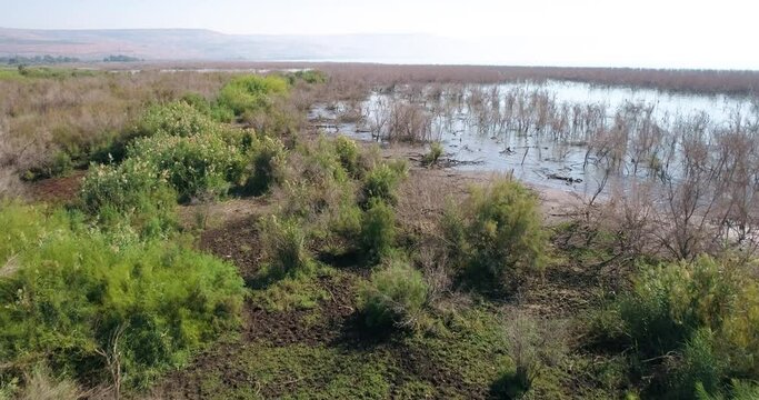Aerial view of a lake and water birds, Sea of Galilee, Israel.