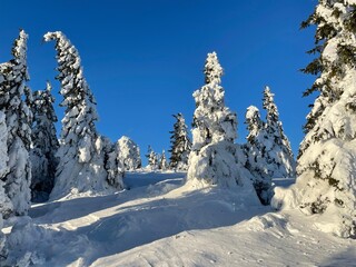 Krkonose mountains - Snezka