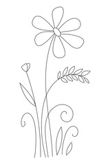 Vector linear hand drawn flower bush. Beautiful floral background for postcards, congratulations, invitations. Gentle, spring meadow