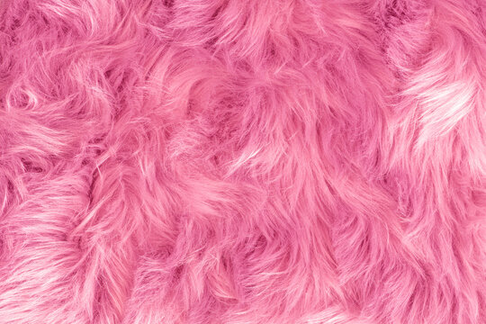 Pink Fur Images – Browse 210,973 Stock Photos, Vectors, and Video