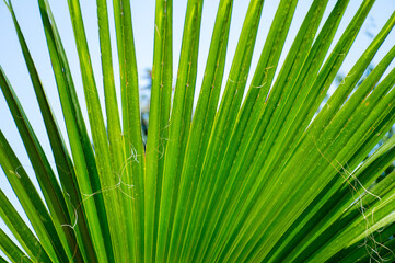 Under the shade of trees and bushes we take shelter from the intense heat