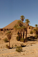 Marocco, paesaggio predesertico del Medio Atlante. Regione di Sousse Massa
