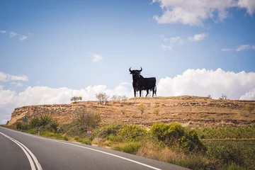 Papier Peint photo Europe du nord View of the iconic bull that can be seen in different road along Spain