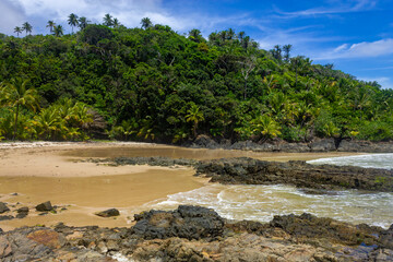 Rocks and forest at Camboinha beach