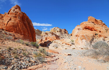Fototapeta premium White Domes trail - Valley of Fire State Park, Nevada