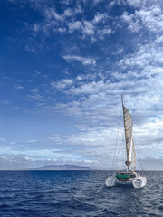 Naklejka premium sailboat on the sea