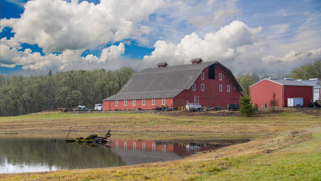 A historic red barn with large oak tree and pond located on the finley Wildlife Refuge near Corvallis Oregon