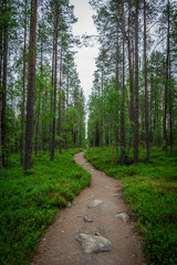 The Pierri Karhunkierros Trail in Oulanka National Park, Lapland, Finland