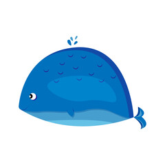 World Whale Day. Blue whale. Third Sunday in February. Important day