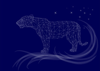 star lioness