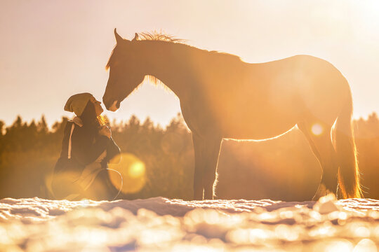 Horsemanship Team Scene: A Young Woman And Her Brown Horse Interacting And Working As A Team. Horse And Owner Trustful Bond Concept.