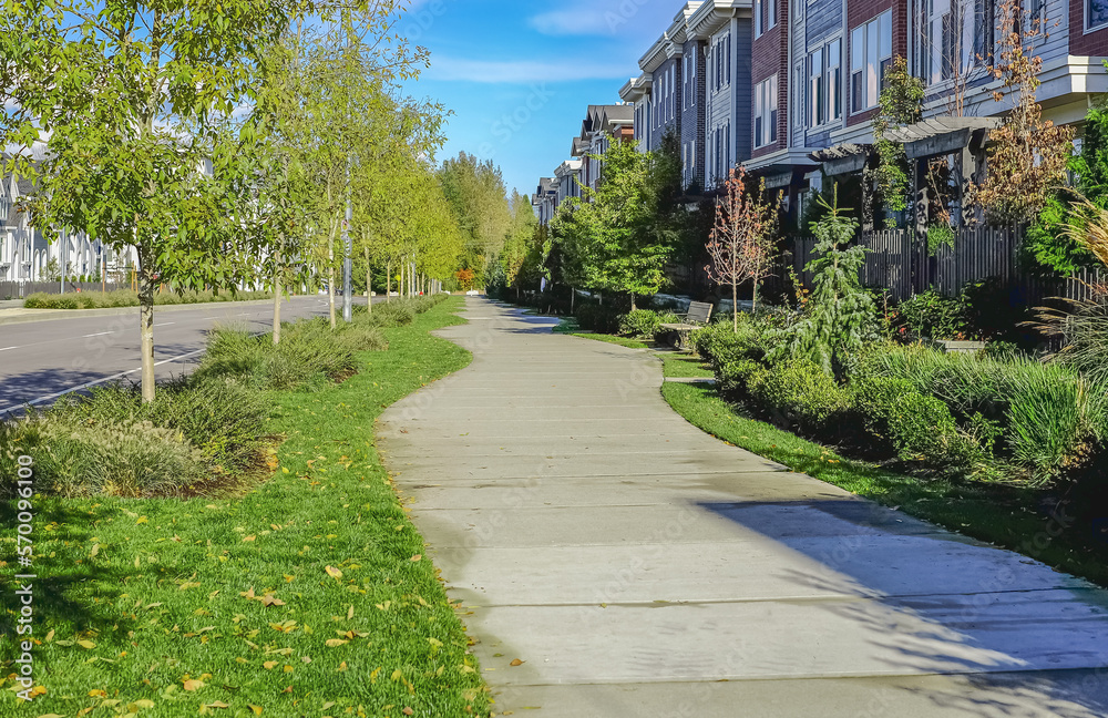 Wall mural green city street with walkway in residential area in sunny summer day. neighborhood modern houses w