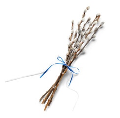 Pussy willow branches tied with blue ribbon isolated on white background © Pixel-Shot