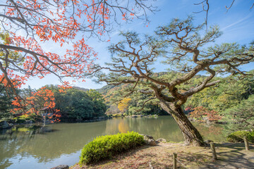 栗林公園